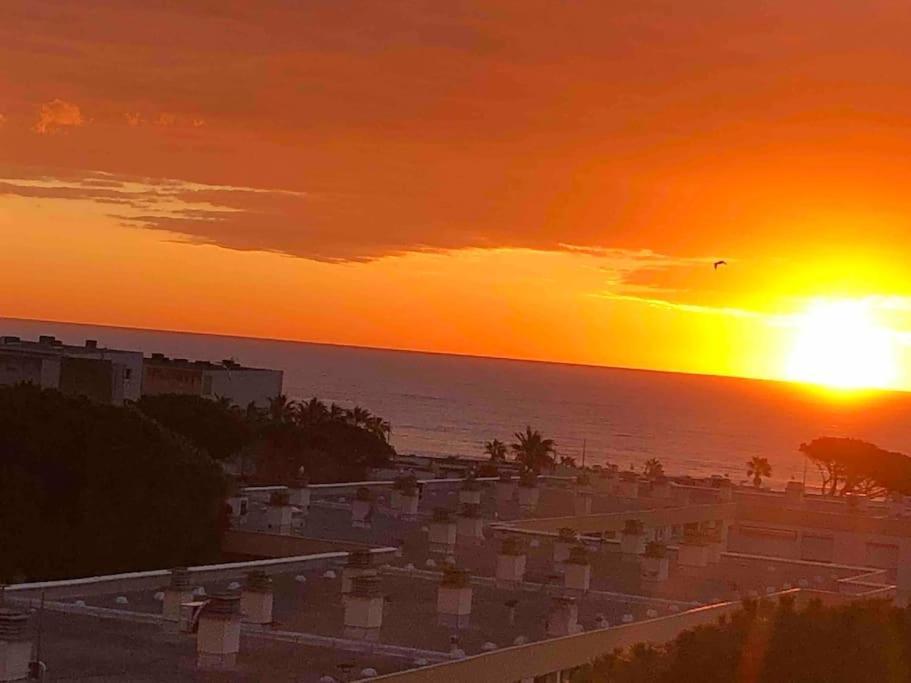 Appartement Vue Mer Au Lavandou Le Lavandou Εξωτερικό φωτογραφία